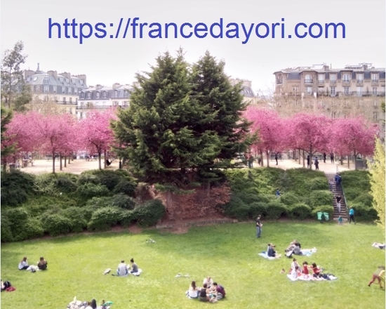 f:id:meringuefine:20200501205551j:plain:w300