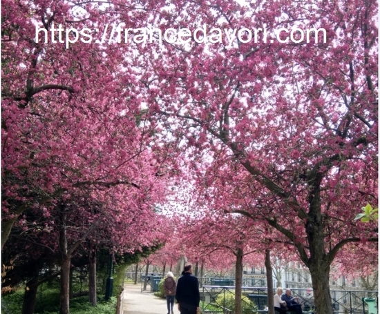 f:id:meringuefine:20200501205558j:plain:w300
