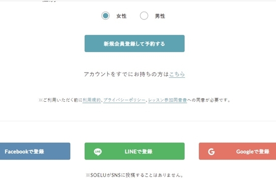 f:id:meringuefine:20200916001534j:plain