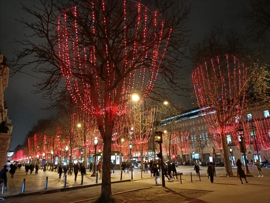 f:id:meringuefine:20211216235520j:plain