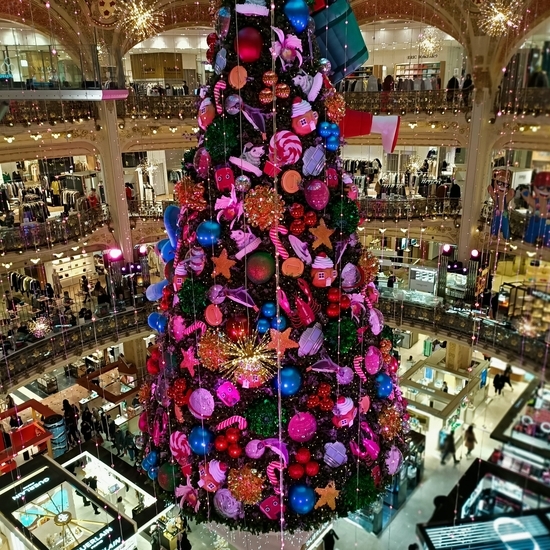 f:id:meringuefine:20211216235931j:plain