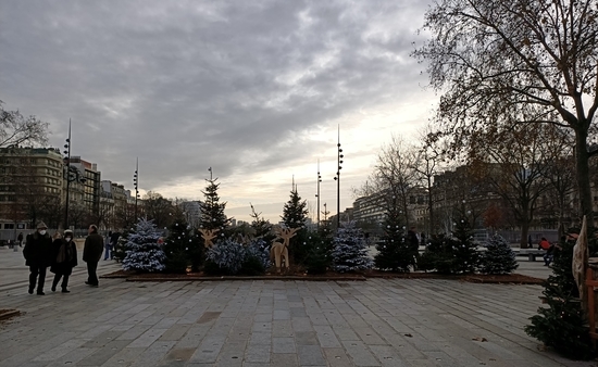 f:id:meringuefine:20211217004635j:plain