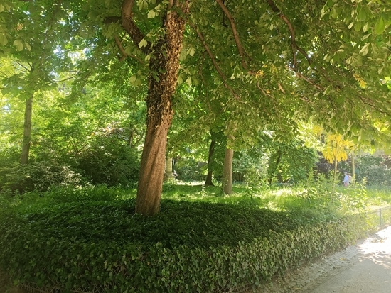 モンソー公園