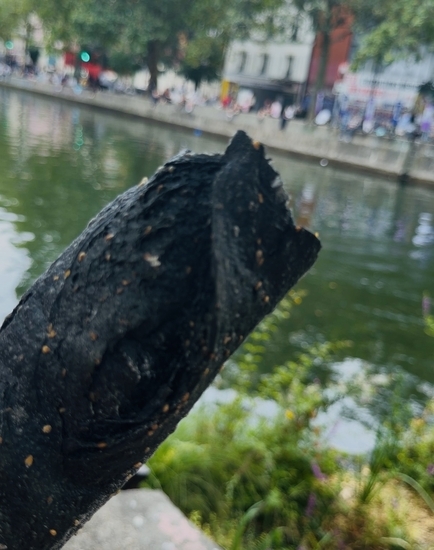 黒ごまパン