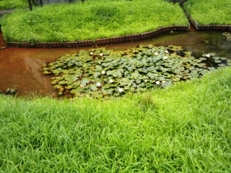 f:id:merita:20110727125314j:image