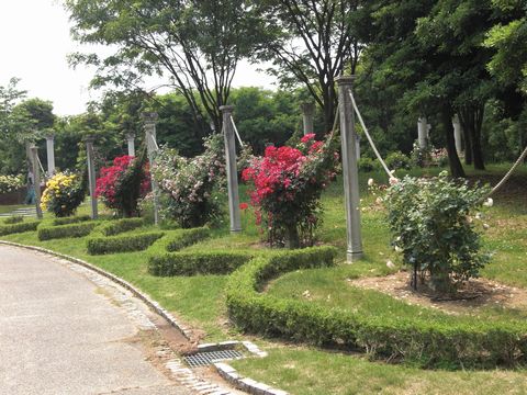 f:id:merody1010:20120531105919j:image f:id:merody1010:20120531105919j:image
