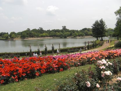 f:id:merody1010:20120531111709j:image f:id:merody1010:20120531111709j:image