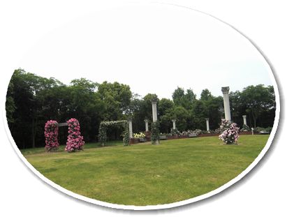 f:id:merody1010:20120531114014j:image f:id:merody1010:20120531114014j:image