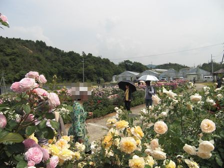 f:id:merody1010:20120531135619j:image f:id:merody1010:20120531135619j:image