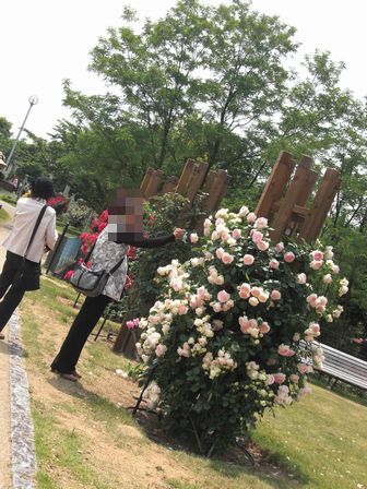 f:id:merody1010:20120601123737j:image f:id:merody1010:20120601123737j:image