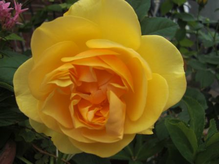 f:id:merody1010:20120605105153j:image f:id:merody1010:20120605105153j:image