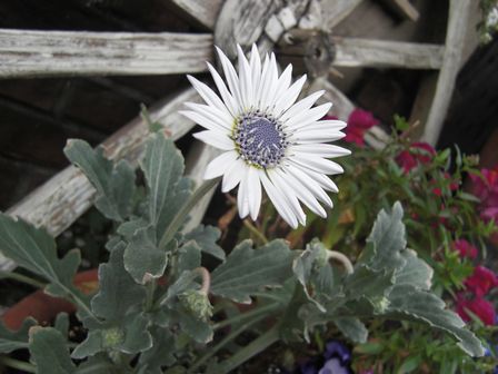 f:id:merody1010:20120605105442j:image f:id:merody1010:20120605105442j:image
