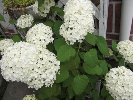 f:id:merody1010:20120605105510j:image f:id:merody1010:20120605105510j:image