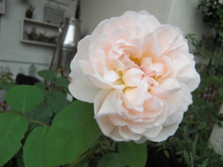 f:id:merody1010:20120605105749j:image f:id:merody1010:20120605105749j:image