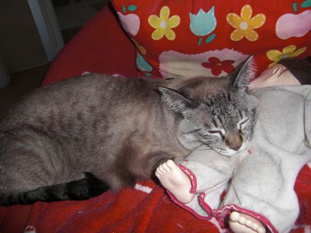 f:id:merody1010:20120605121656j:image f:id:merody1010:20120605121656j:image