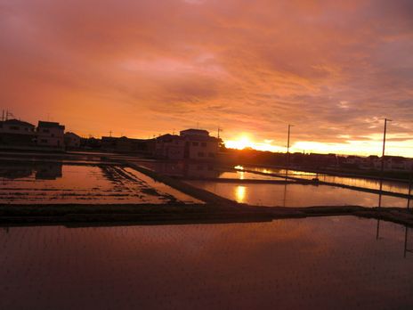 f:id:merody1010:20120605185049j:image f:id:merody1010:20120605185049j:image