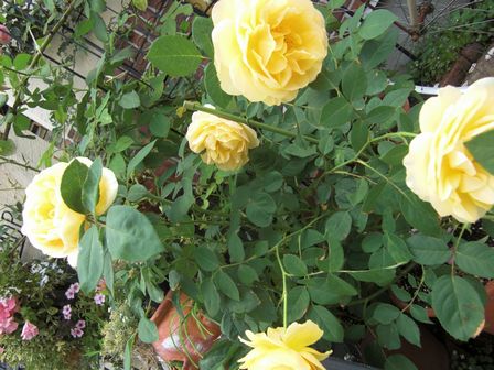 f:id:merody1010:20120609150025j:image f:id:merody1010:20120609150025j:image