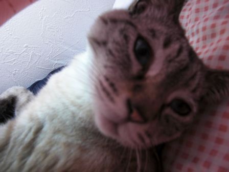 f:id:merody1010:20120609150222j:image f:id:merody1010:20120609150222j:image
