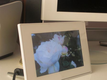 f:id:merody1010:20120609152148j:image f:id:merody1010:20120609152148j:image