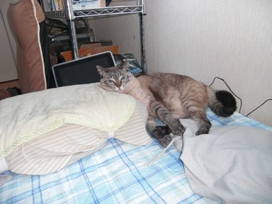 f:id:merody1010:20120610162003j:image f:id:merody1010:20120610162003j:image