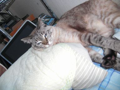 f:id:merody1010:20120610162009j:image f:id:merody1010:20120610162009j:image