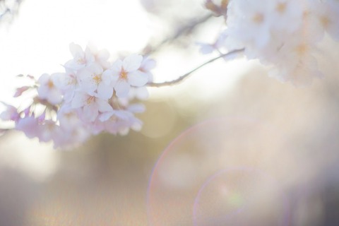 25b80edb-s