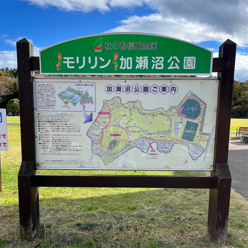 f:id:merry_saku:20211112192541j:image