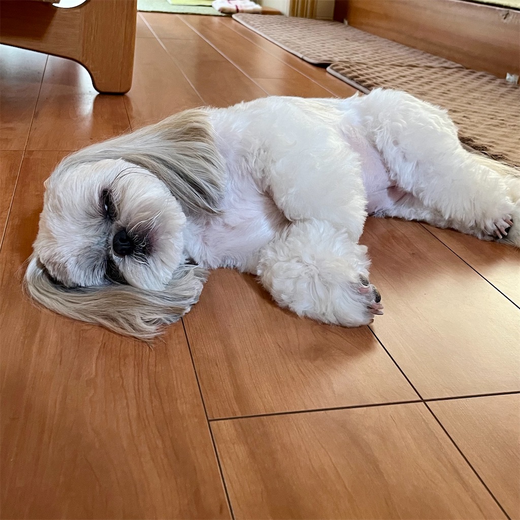 f:id:merry_saku:20240717201511j:image f:id:merry_saku:20240717201511j:image