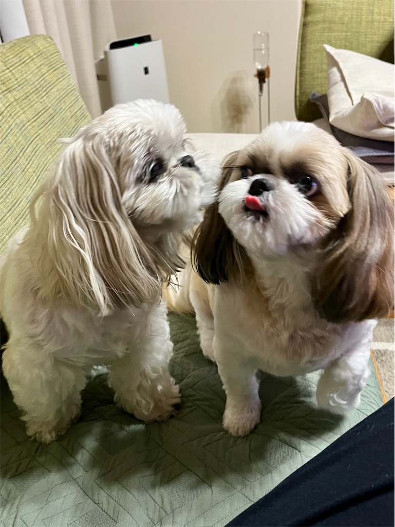 f:id:merry_saku:20240921230653j:image f:id:merry_saku:20240921230653j:image