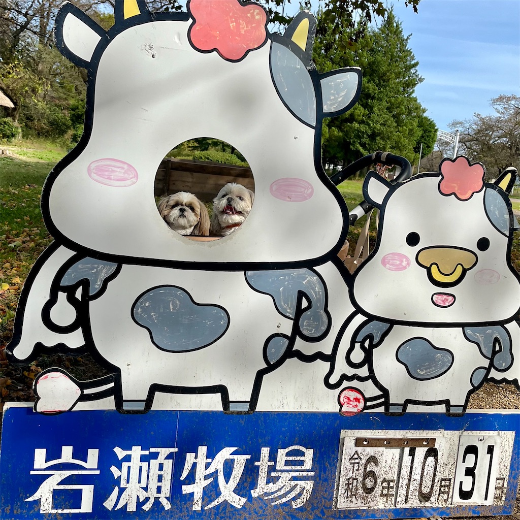 f:id:merry_saku:20241031194340j:image