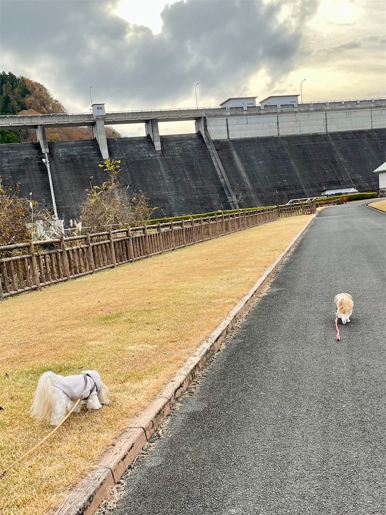 f:id:merry_saku:20241126205039j:image