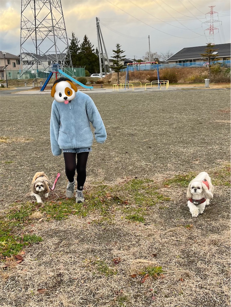 f:id:merry_saku:20241204185332j:image