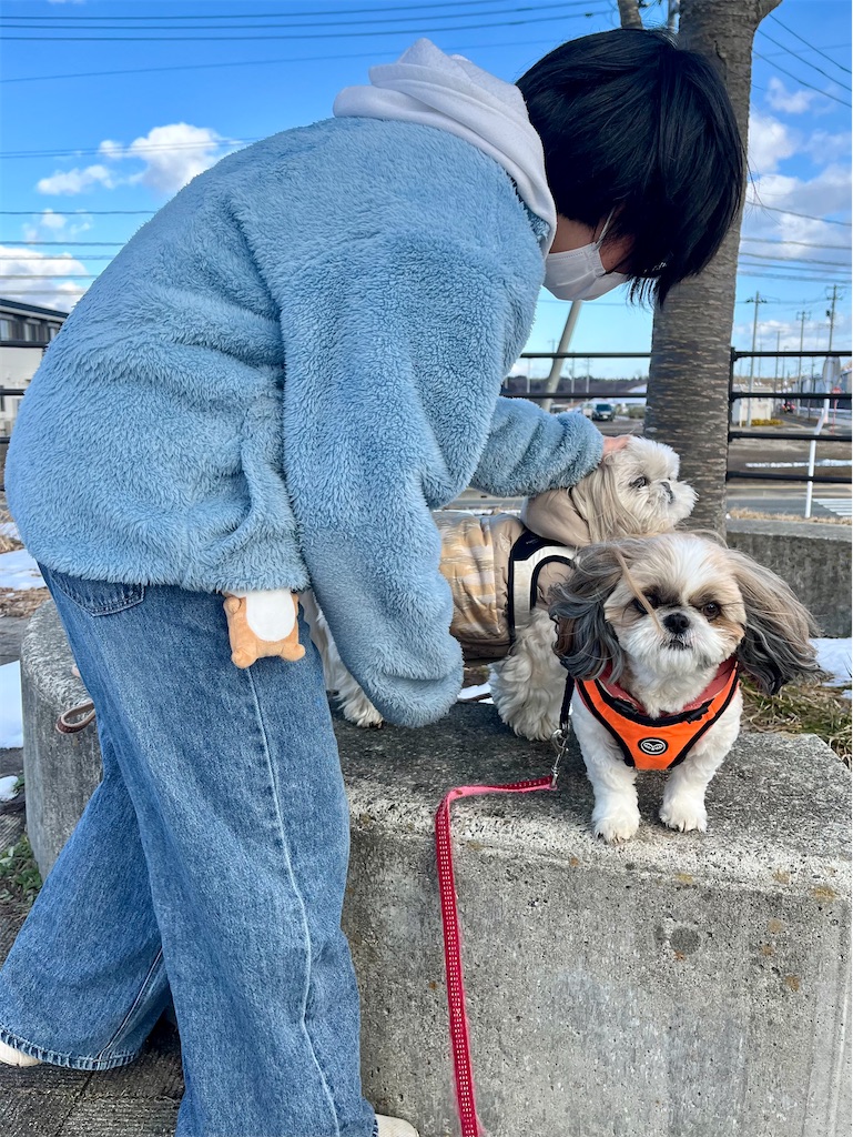 f:id:merry_saku:20250210194402j:image
