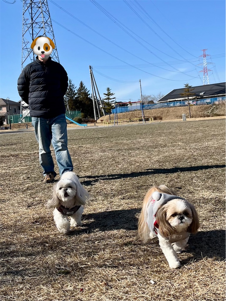 f:id:merry_saku:20250215202511j:image