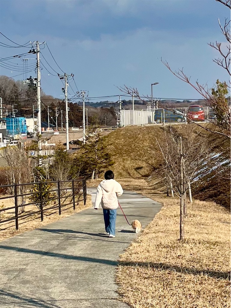 f:id:merry_saku:20250226212940j:image