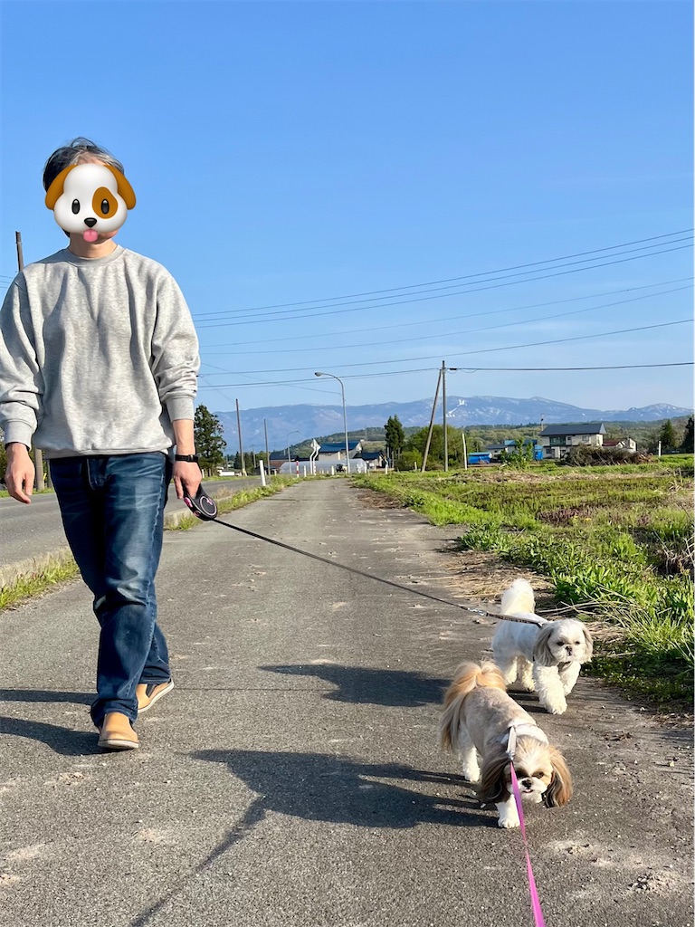 f:id:merry_saku:20250505224621j:image