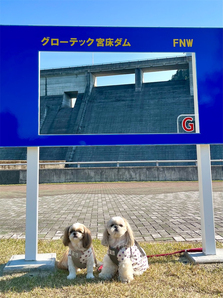 f:id:merry_saku:20250508210553j:image