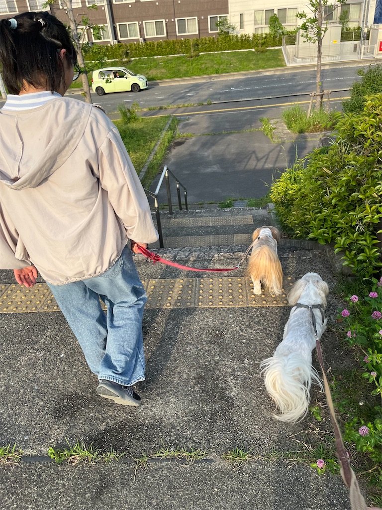 f:id:merry_saku:20250521222849j:image
