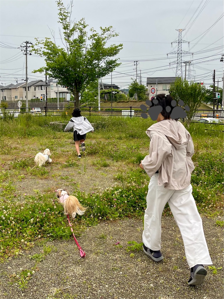 f:id:merry_saku:20250609211437j:image