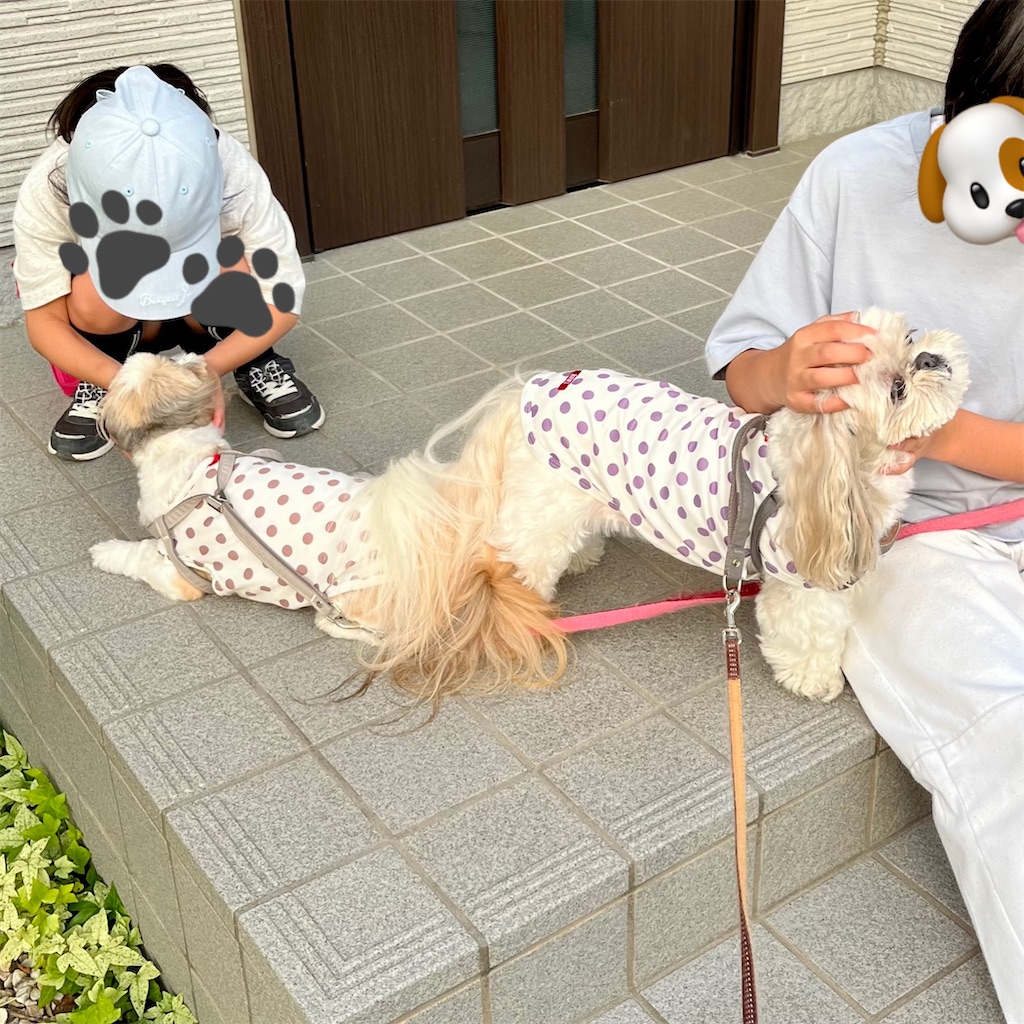 f:id:merry_saku:20250630221946j:image