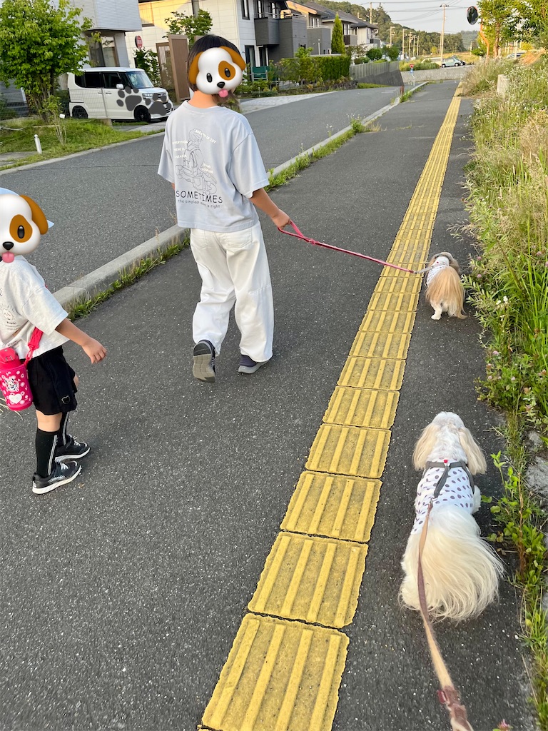 f:id:merry_saku:20250630222147j:image
