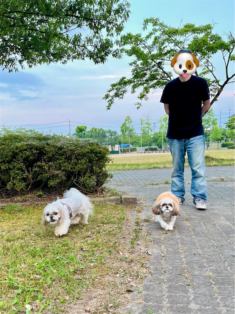 f:id:merry_saku:20250706230012j:image