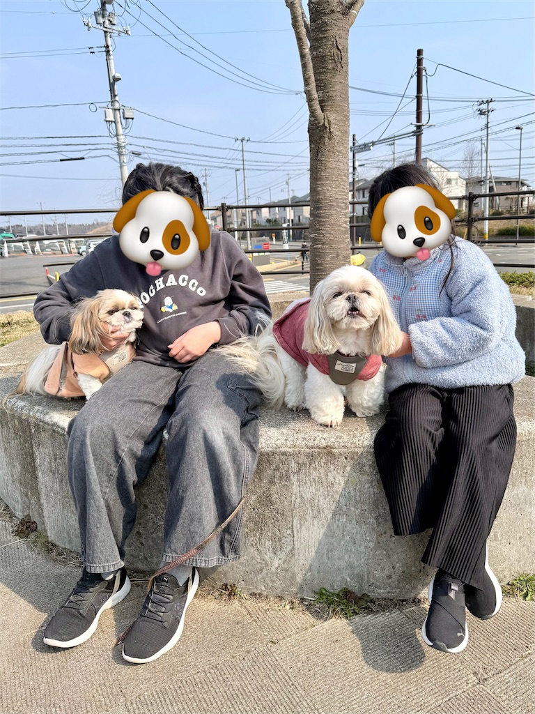 f:id:merry_saku:20260330223307j:image