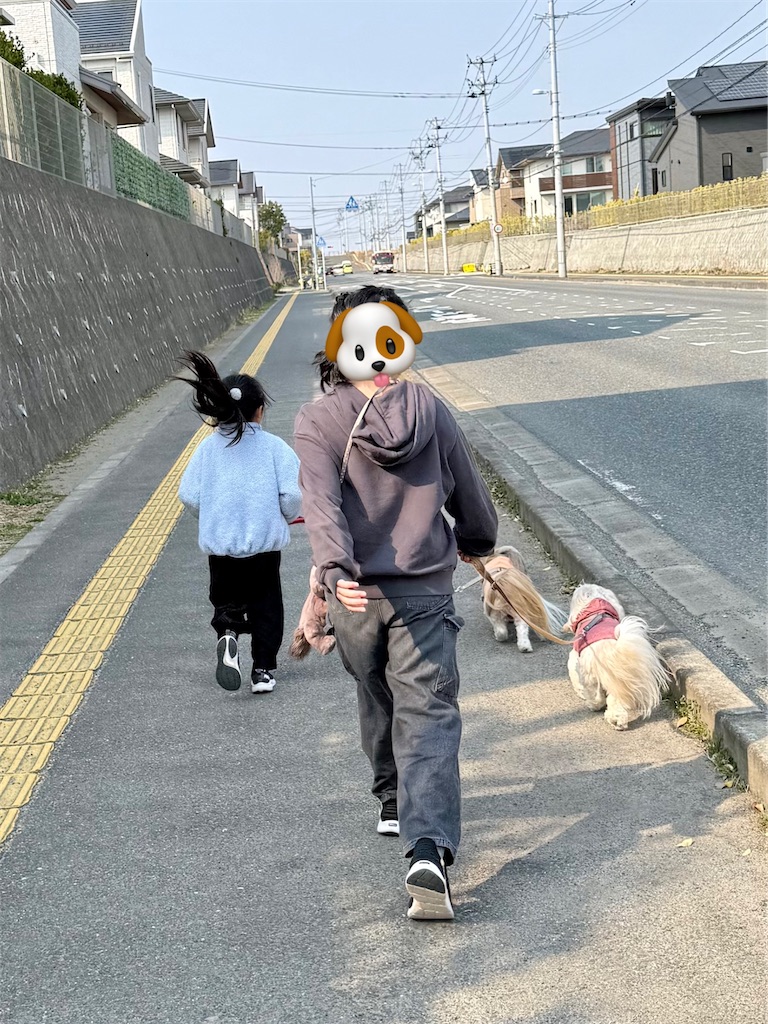 f:id:merry_saku:20260330223313j:image