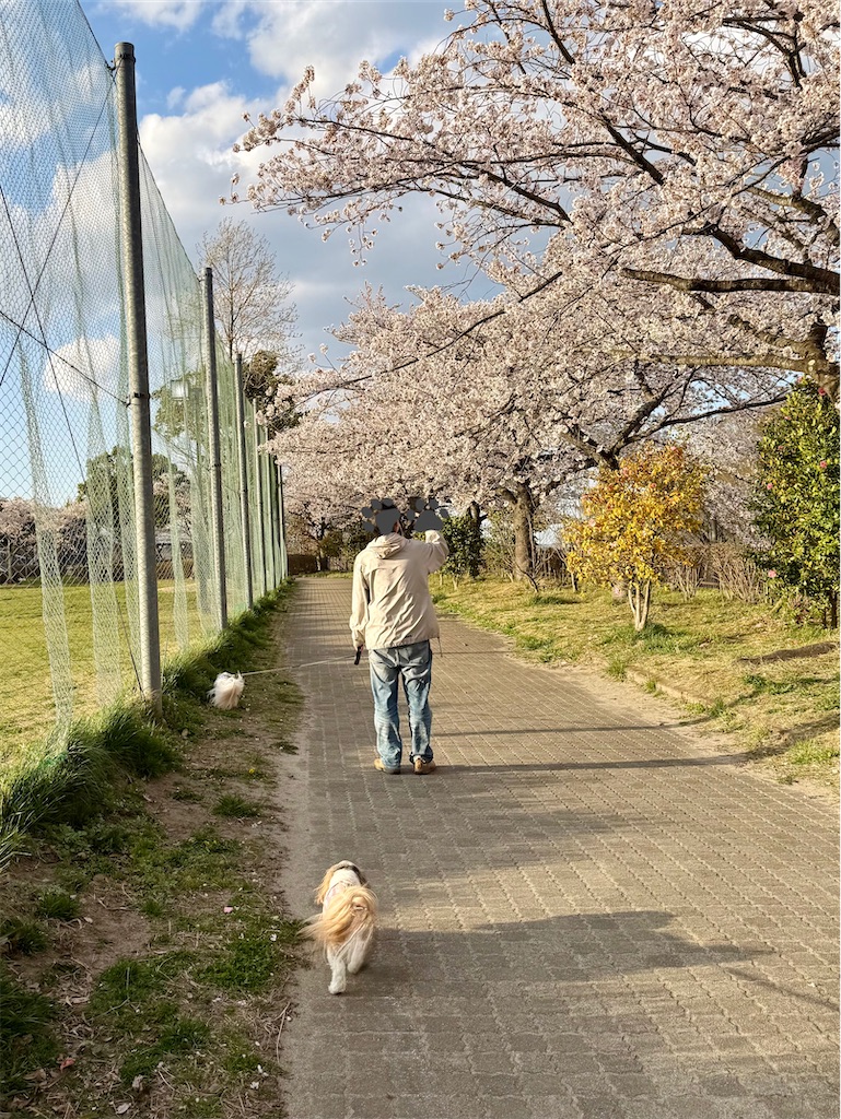 f:id:merry_saku:20260411222713j:image f:id:merry_saku:20260411222713j:image