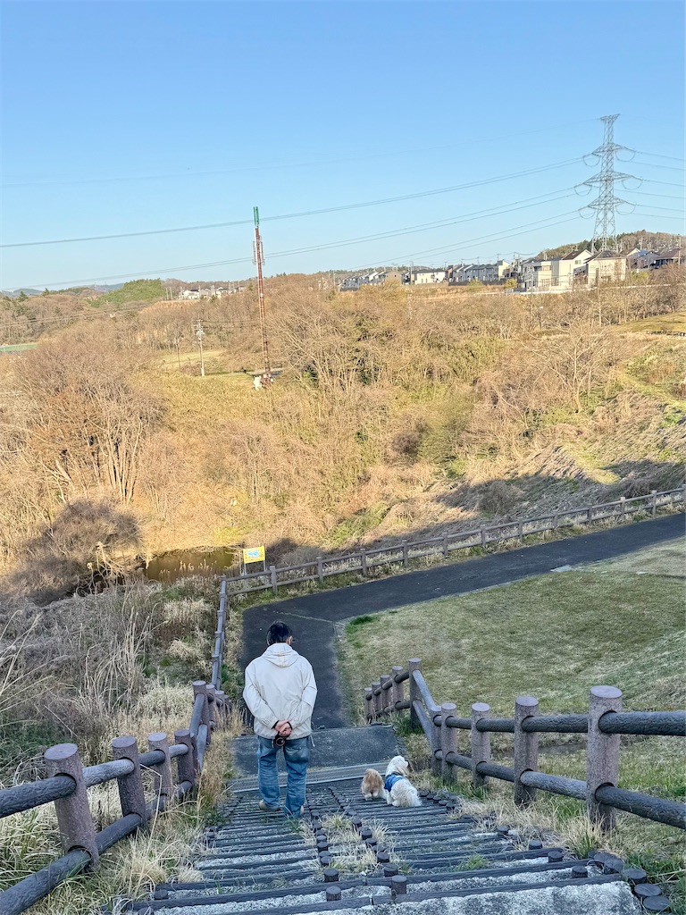 f:id:merry_saku:20260412223027j:image f:id:merry_saku:20260412223027j:image