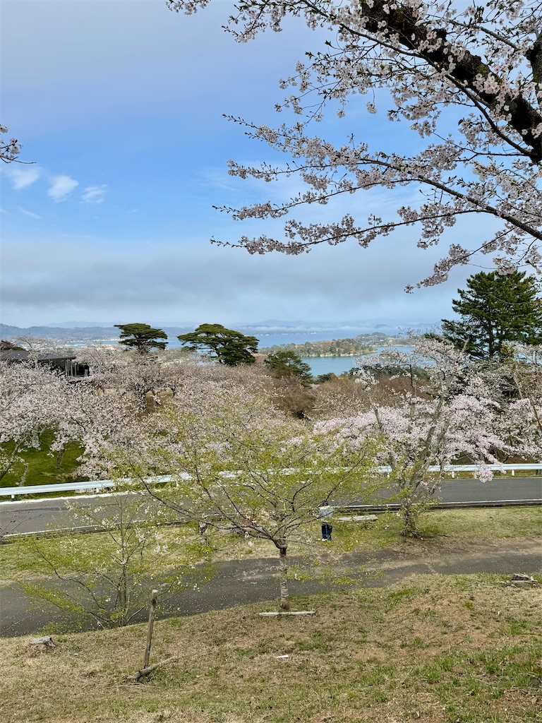 f:id:merry_saku:20260415210515j:image
