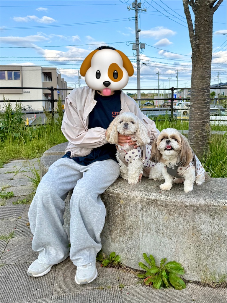 f:id:merry_saku:20260604225227j:image