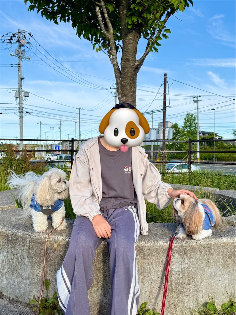f:id:merry_saku:20260615225945j:image f:id:merry_saku:20260615225945j:image