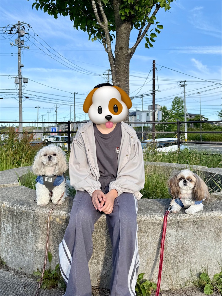 f:id:merry_saku:20260615225948j:image f:id:merry_saku:20260615225948j:image